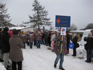 faschingsumzug20schurrenhof2020112011