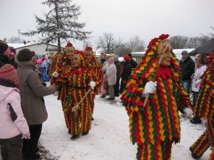 faschingsumzug20schurrenhof2020112025